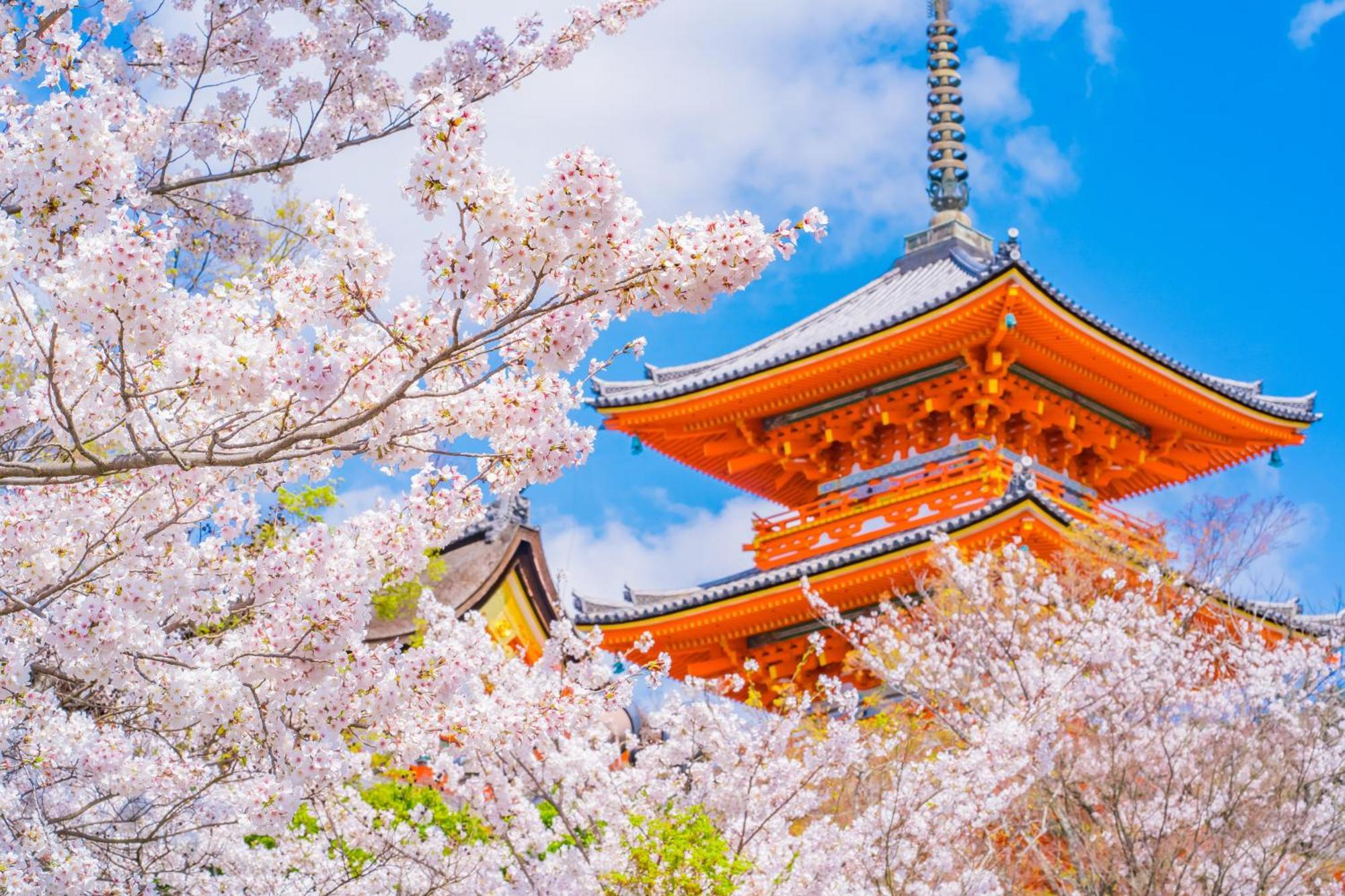 도큐 스테이 교토 산조 가라스마 외부 사진